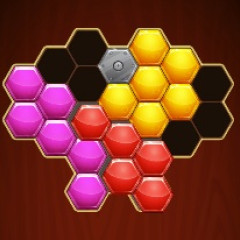 Hexa Puzzle