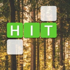 Word Connect Puzzle